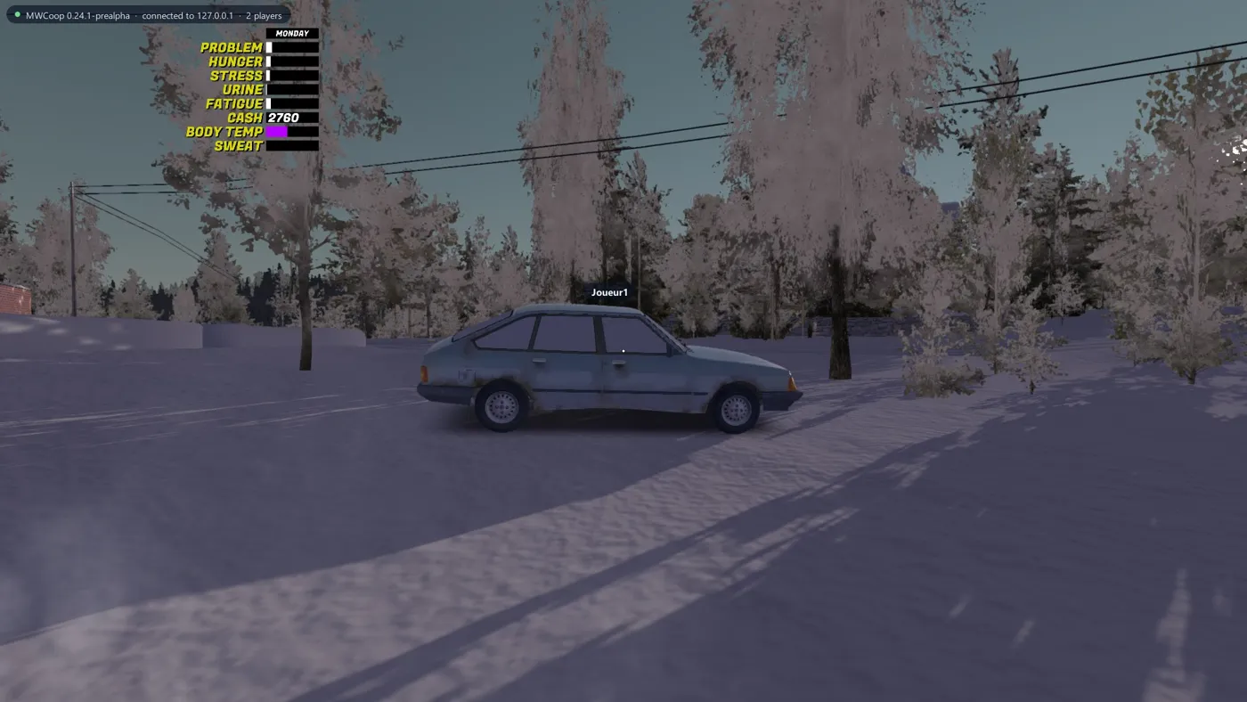 Two players driving in the game